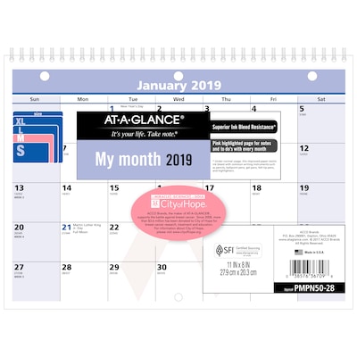 2019 AT-A-GLANCE® QuickNotes® City of Hope Monthly Wall Calendar, 12 Months, January Start, 11 x 8, Wirebound (PMPN50-28-19)
