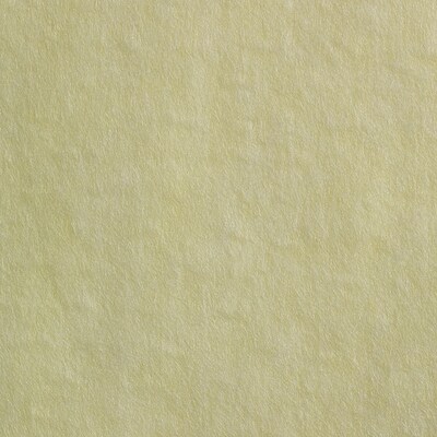 Brawny Professional Nylon Dusting Wipers, 24" x 24", Yellow, 200 Wipers/Box (29624)