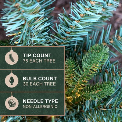 Fraser Hill Farm Prelit 18" Artificial Sidewalk Trees, 3/Set (FFPTI018-5GR)