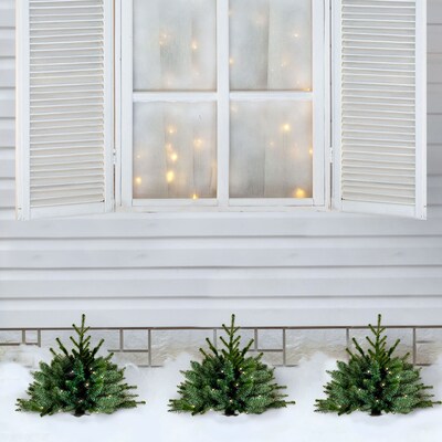 Fraser Hill Farm Prelit 18" Artificial Sidewalk Trees, 3/Set (FFPTI018-5GR)
