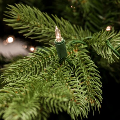 Fraser Hill Farm 6.5-Ft. Foxtail Pine Christmas Tree (FFFX065-0GR)