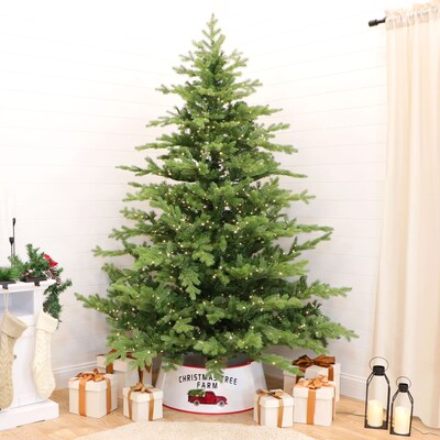 Fraser Hill Farm 9 ft. Foxtail Pine Pre-Lit Artificial Christmas Tree, 1750 Lights (FFFX090-5MGR)