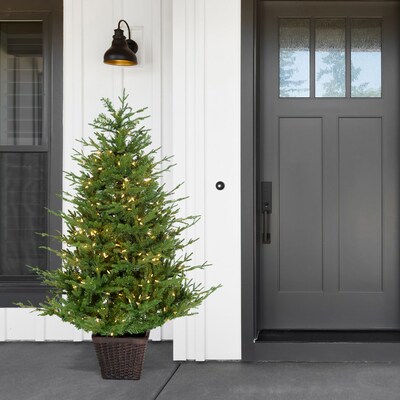 Fraser Hill Farm 5-ft. Adirondack Pre Lit Potted Christmas Tree Decor (FFAD060P-5GR)