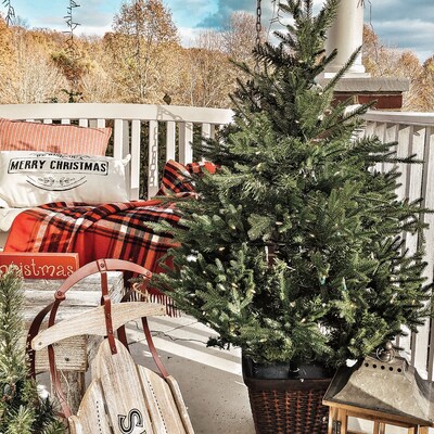 Fraser Hill Farm 4.0-Ft Adirondack Pre Lit Potted Christmas Tree Decor (FFAD048P-5GR)