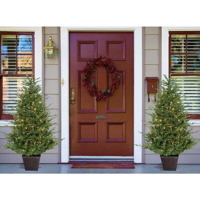Fraser Hill Farm 5-ft. Adirondack Pre Lit Potted Christmas Tree Decor (FFAD060P-5GR)