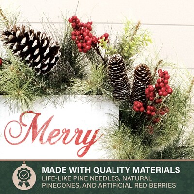 Fraser Hill Farm 26" Frosted Wreath (FF026CHWR001-0GR)