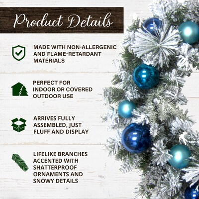 Fraser Hill Farm 24-in. Christmas Snow Covered Wreath (FF024CHWR011-0BL)