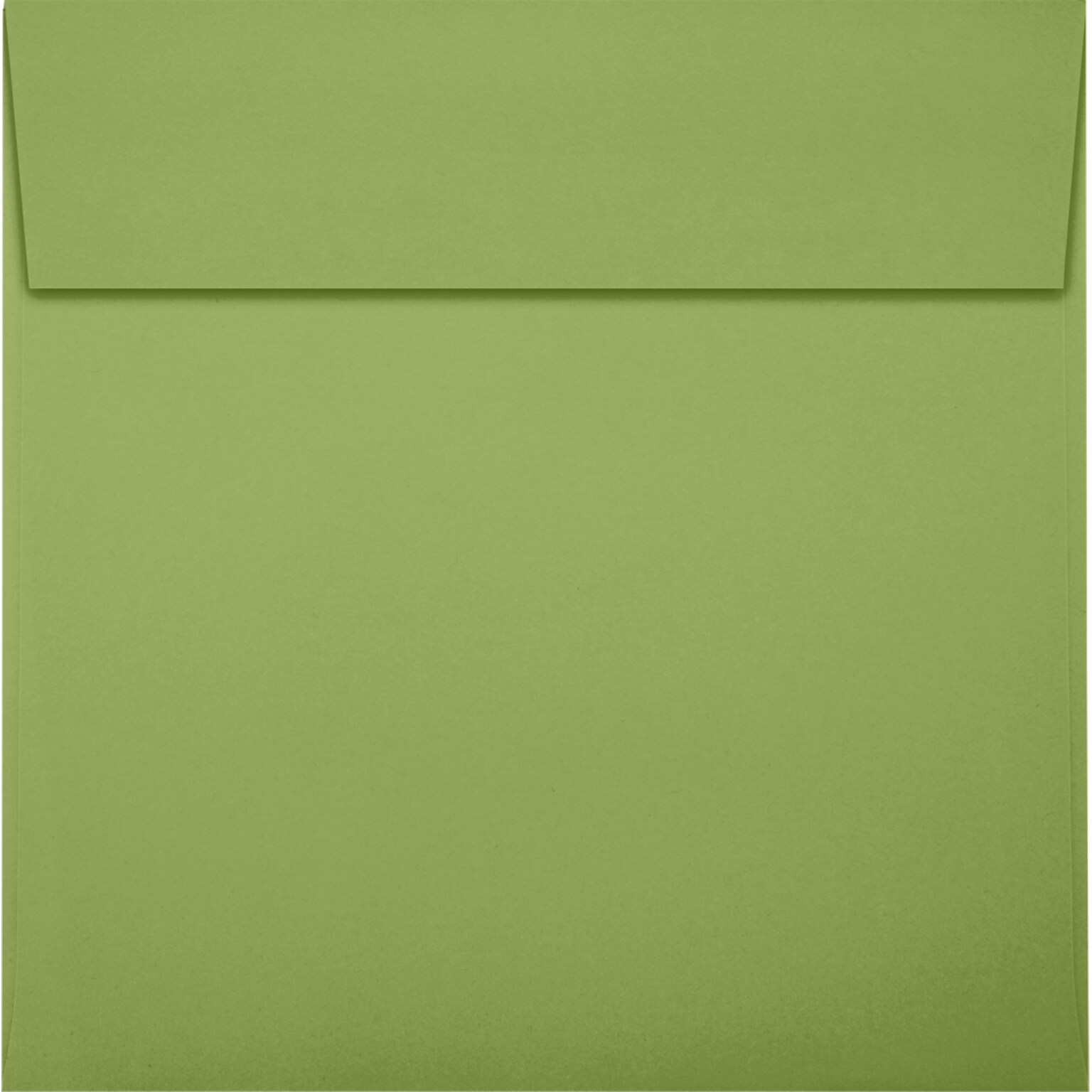 JAM Paper Square Envelopes, Peel & Press, 6 1/4 x 6 1/4, 70lb, Avocado Green, 50 Pack (8530-102-50)