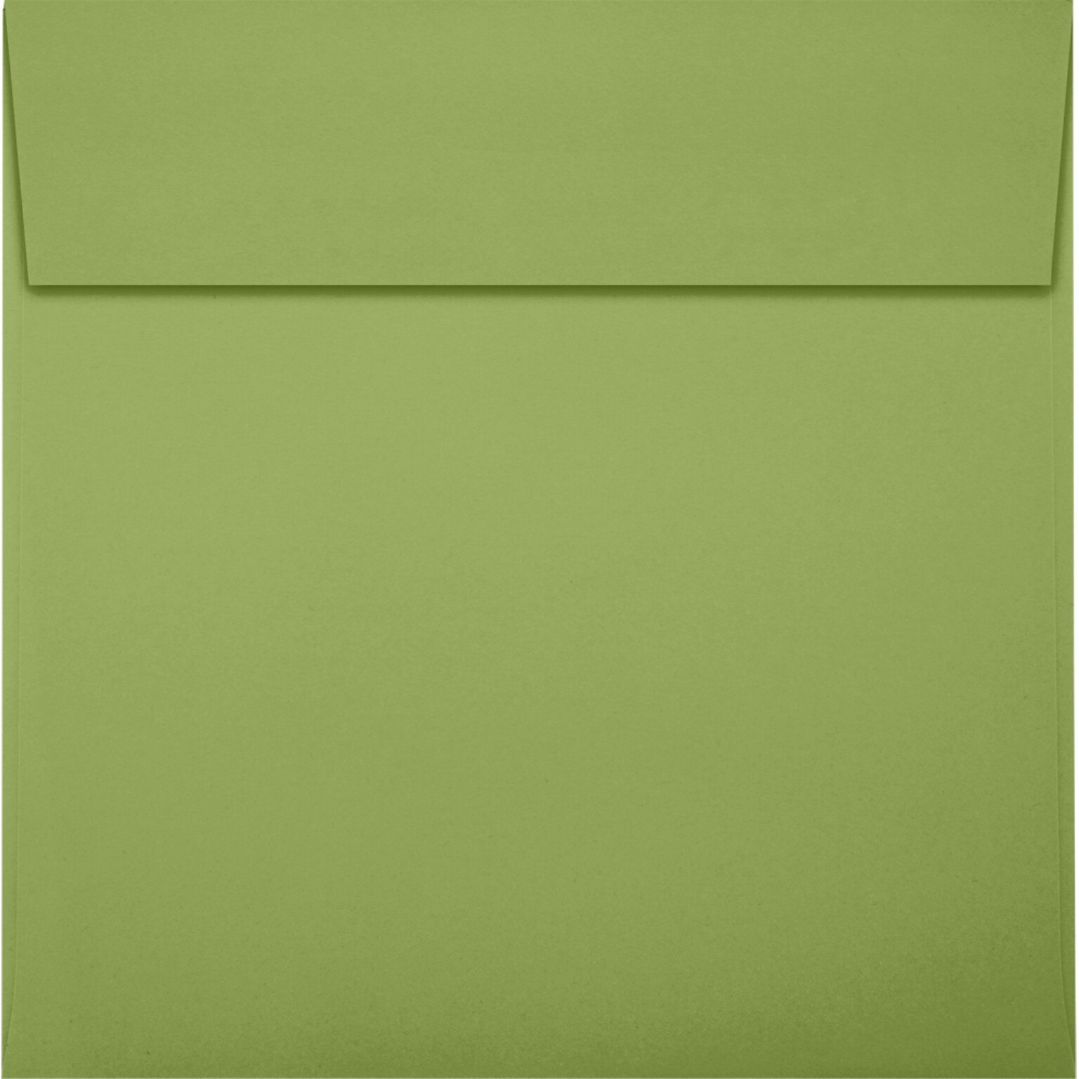 JAM Paper Square Envelopes, Peel & Press, 70lb Avocado Green, 6 1/4 x 6 1/4, 500 Pack (8530-102-500)
