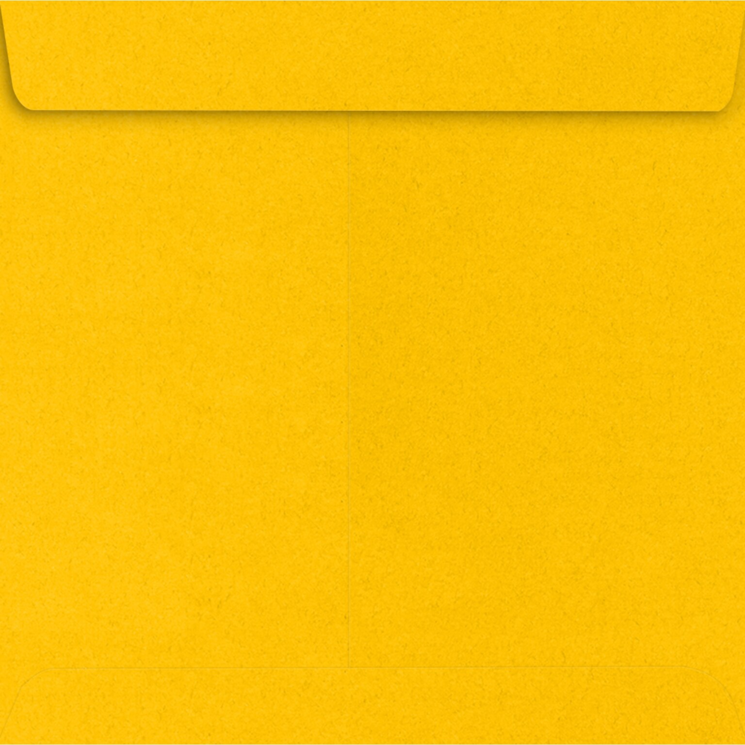 JAM Paper 7 1/2 x 7 1/2 Square Envelopes, Sunflower, 250 Pack, Yellow (EX8555-12-250)