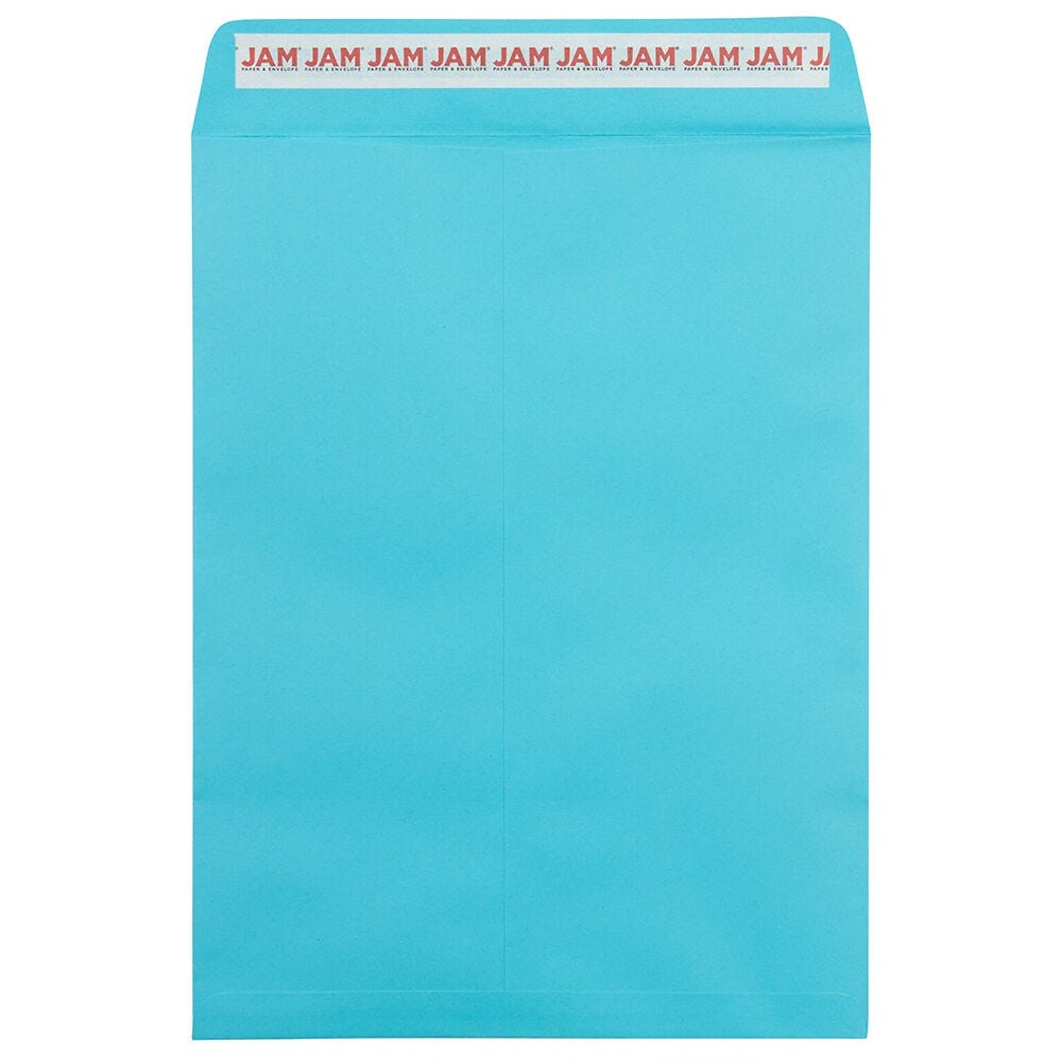 JAM Paper 9 x 12 Open End Envelopes, Pool, 250/Pack (4894-102-250)