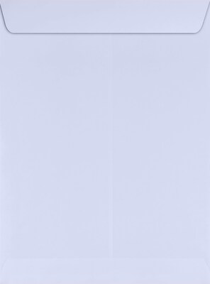 JAM Paper 9 x 12 Open End Envelopes, Lilac, 250/Pack (LUX-4894-05-250)