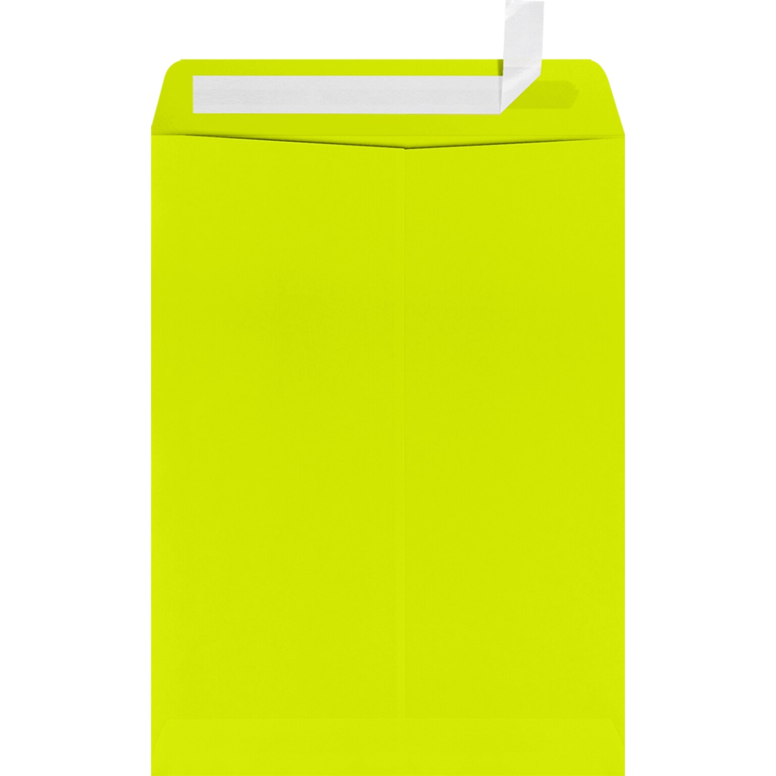 JAM Paper 9 x 12 Open End Envelopes, Wasabi, 250/Pack (4894-L22-250)