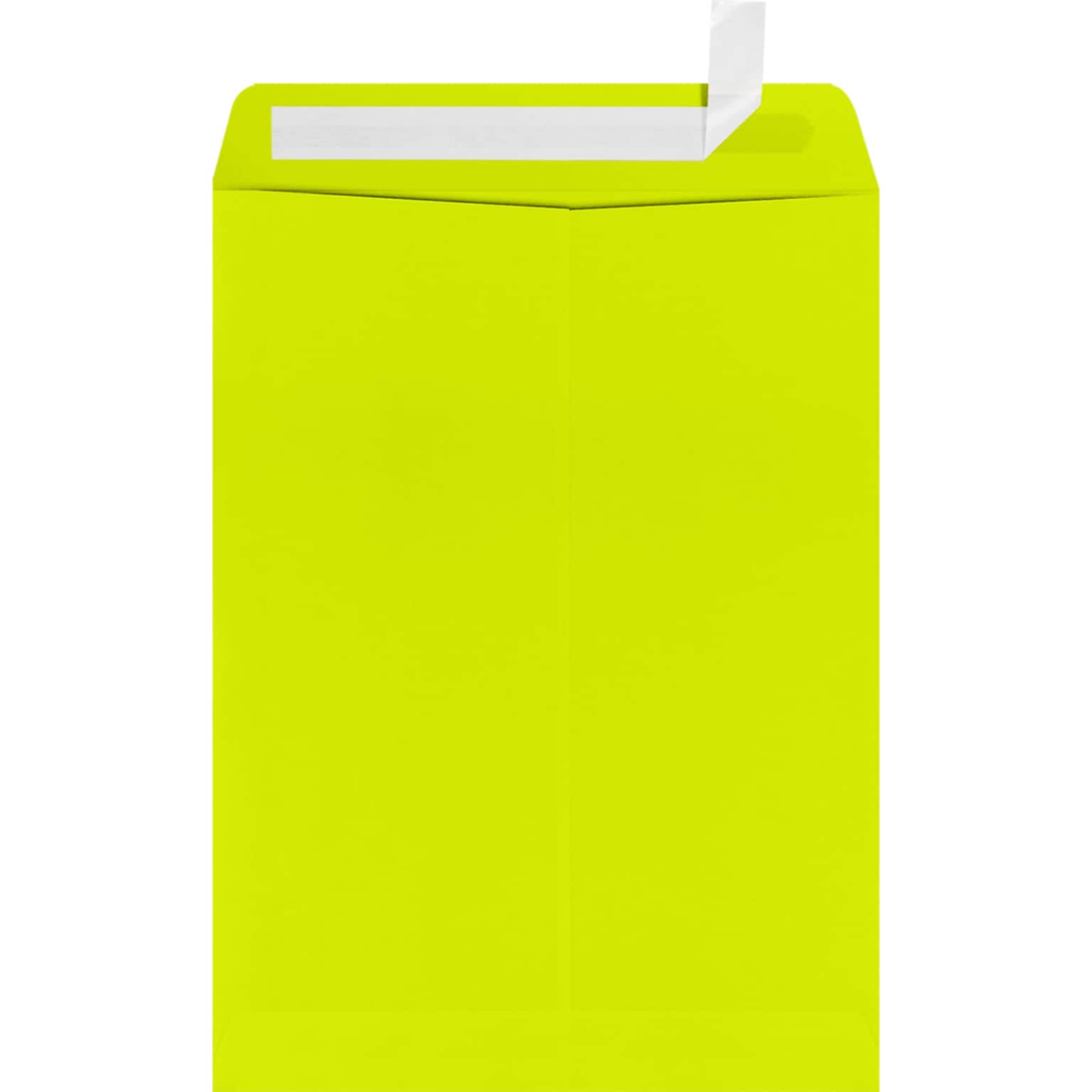 JAM Paper 9 x 12 Open End Envelopes, Wasabi , 50 Pack, Yellow (LUX-4894-L22-50)