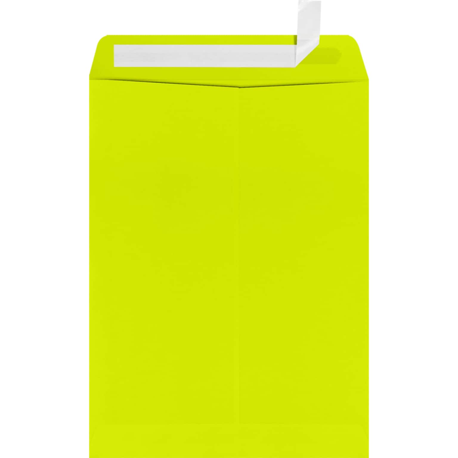 JAM Paper 9 x 12 Open End Envelopes, Wasabi , 50 Pack, Yellow (LUX-4894-L22-50)