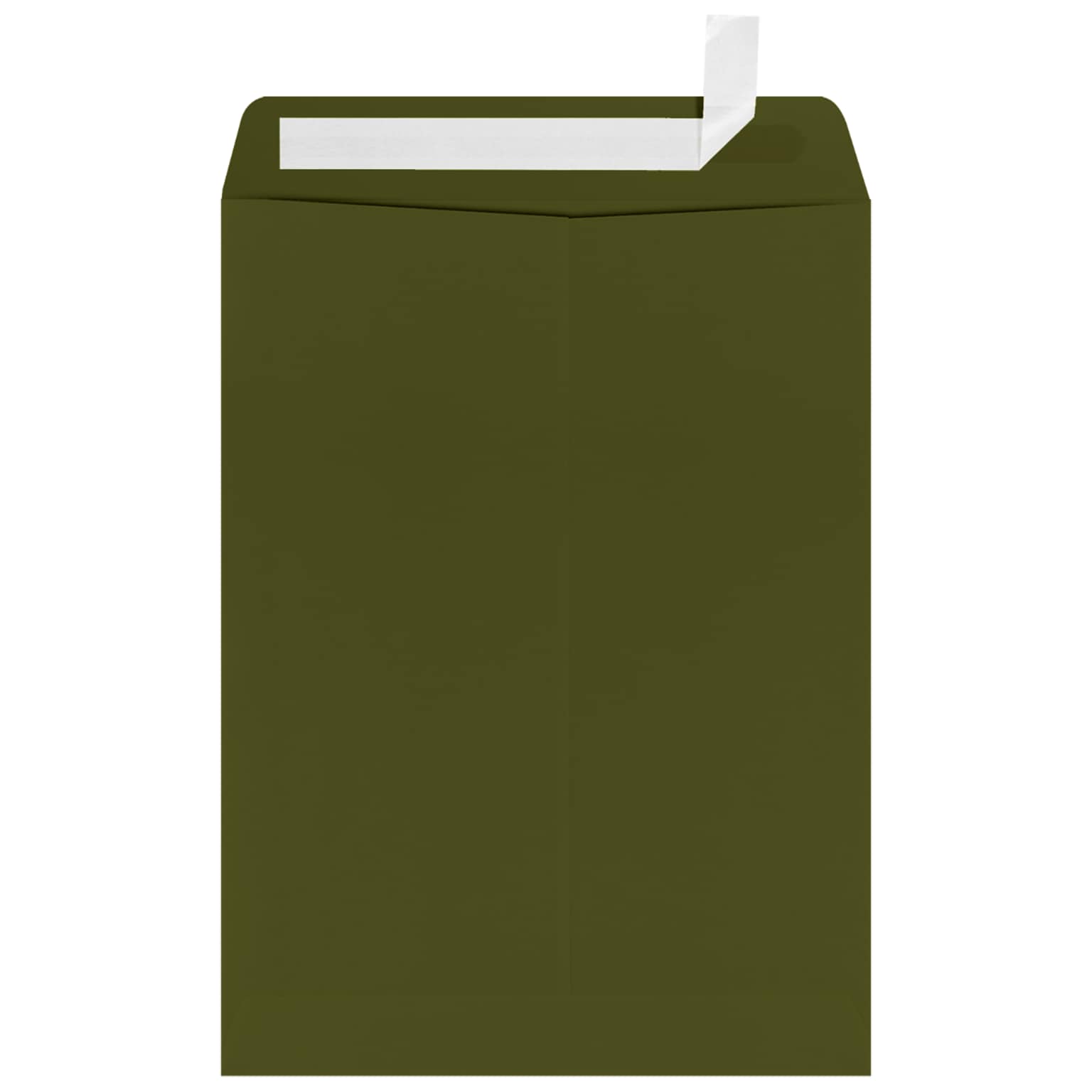 JAM Paper 9 x 12 Catalog Mailing Envelopes, Olive Green, 50 Pack (4894-81-50)