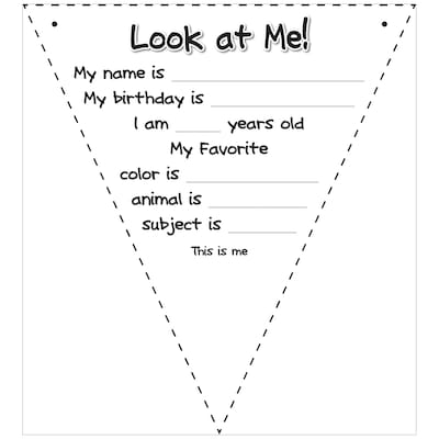 Top Notch Teacher Products® Look at Me Pennant Flags, Pack of 108 (TOP3066)
