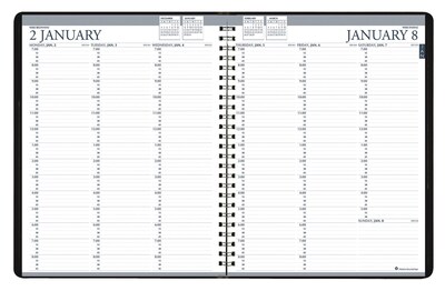 2020 House of Doolittle 8.5 x 11 Professional Weekly Planner, Blue (HOD27207)