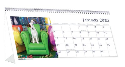 House of Doolittle 2020 Monthly Desktop Tent Calendar 8.5 x 4.5 Earthscapes Puppies (HOD3659)