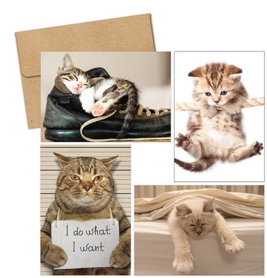 Masterpiece Studios Great Papers!® Kitty Thoughts Assortment Note Card, 4.875H x 3.35W (folded), 2