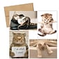 Masterpiece Studios Great Papers!® Kitty Thoughts Assortment Note Card, 4.875"H x 3.35"W (folded), 20 count (2017059)