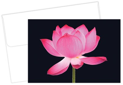 Great Papers! Matte Personal Notecards, Opening Petals, 20/Pack (2017050)