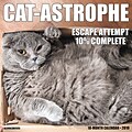 2019 Willow Creek Press 12 x 12 Cat-Astrophe Wall Calendar (00663)