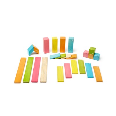 Tegu Set in Tints, Assorted, 24 Pieces (TEG24PTNT306T)