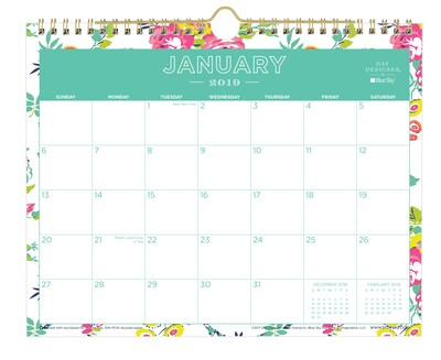 2019 Blue Sky Wall Calendar DD Peyton White 11 H x 8.75  W RY Monthly Wirebound (103629-19)