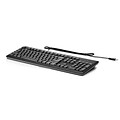 HP® QY776AA USB Wired Keyboard; Black