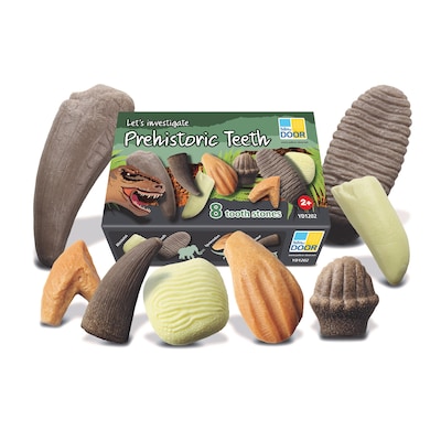 Yellow Door Lets Investigate Prehistoric Teeth, 8/Set (YUS1202)