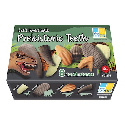 Yellow Door Lets Investigate Prehistoric Teeth, 8/Set (YUS1202)