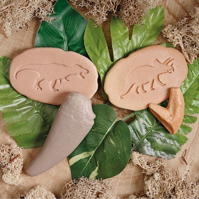 Yellow Door Let's Investigate Prehistoric Teeth, 8/Set (YUS1202)