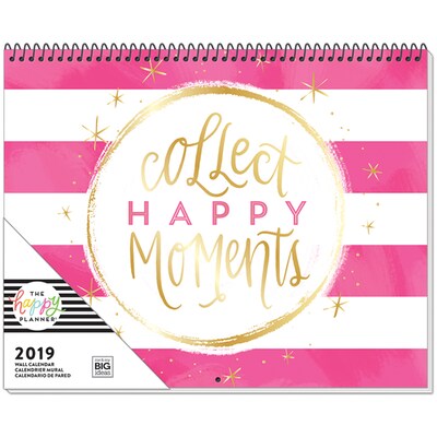 2019 The Happy Planner® 15H x 12W Wall Calendar (PWC-01)