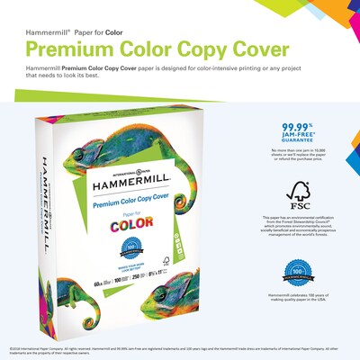 Hammermill Premium 11 x 17 Color Copy Paper, 28 lbs., 100 Brightness,  2000 Sheets/Carton (102541)