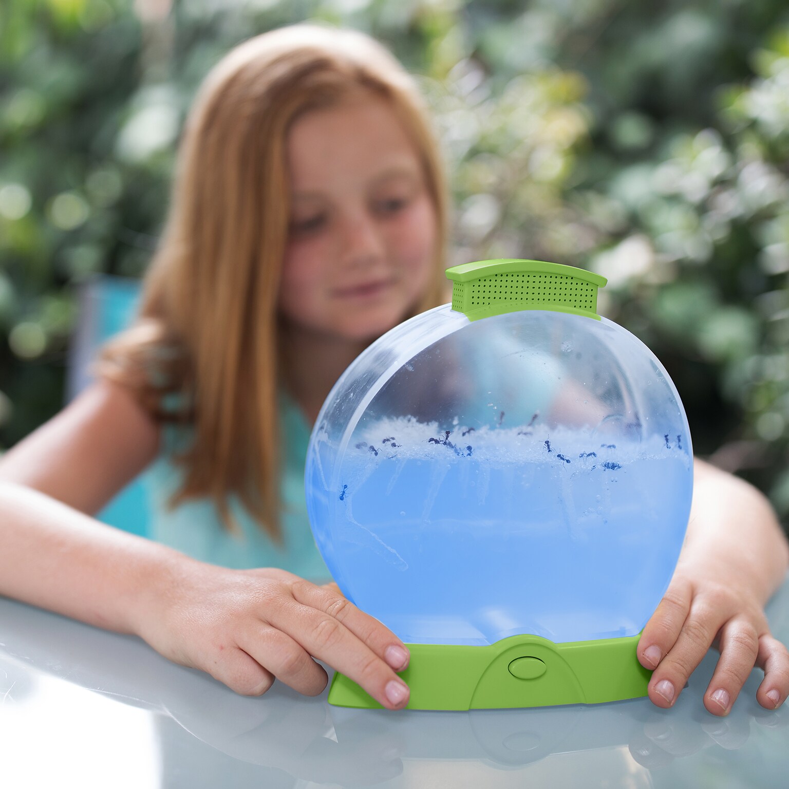 Educational Insights Geosafari Day N Night Ant Factory (5144)