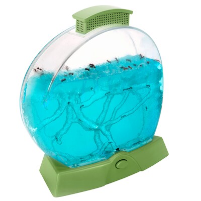 Educational Insights Geosafari Day 'N' Night Ant Factory (5144)