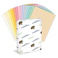 Hammermill® Fore® MP Colors 20-lb. Pastel Paper, 8-1/2x11, Letter Size, Assorted