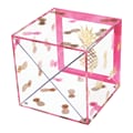 Deflecto® Desklarity™ Storage Cube with X Dividers, Precisely Pineapple, Pink/Metallic Gold, 6 x 6