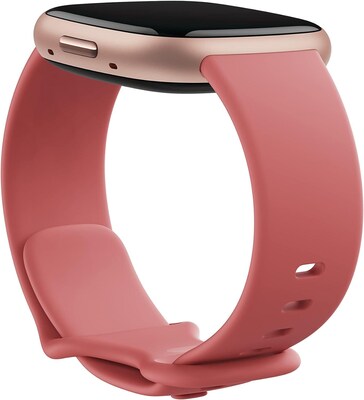 Google Fitbit Infinity Bands for Fitbit 24mm Attach, Pink Sand (FB174ABRWL)