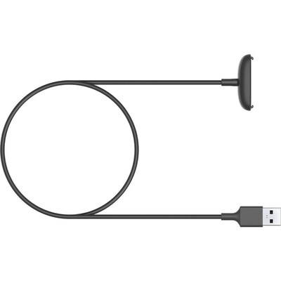 Google Fitbit Inspire 2 Charging Cable, Black (FB177RCC)