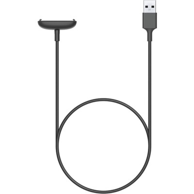 Google Fitbit Inspire 2 Charging Cable, Black (FB177RCC)