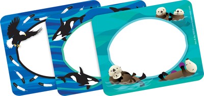 Barker Creek Sea & Sky Otters File Folder, 1/3-Cut Tab, Letter Size, Assorted Colors, 107/Set (146)