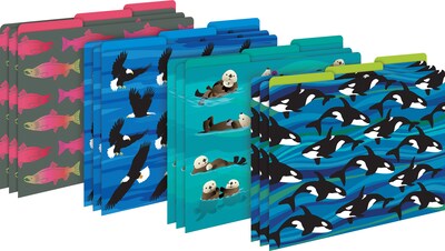 Barker Creek Sea & Sky Eagles File Folder, 1/3-Cut Tab, Letter Size, Assorted Colors, 107/Set (148)