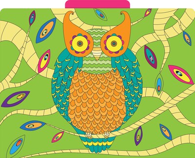 Barker Creek Bohemian Animals File Folder, 1/3-Cut Tab, Letter Size, Assorted Colors, 12/Pack (2012)