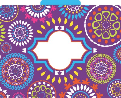 Barker Creek Moroccan File Folder, 1/3-Cut Tab, Letter Size, Assorted Colors, 12/Pack (2013)