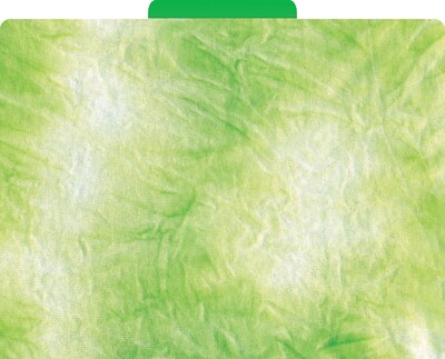 Barker Creek Tie-Dye & Ombré File Folder, 1/3-Cut Tab, Letter Size, Assorted Colors, 12/Pack (2014)