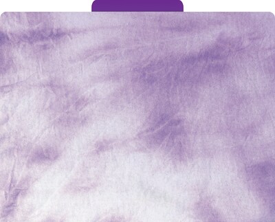 Barker Creek Tie-Dye & Ombré File Folder, 1/3-Cut Tab, Letter Size, Assorted Colors, 12/Pack (2014)