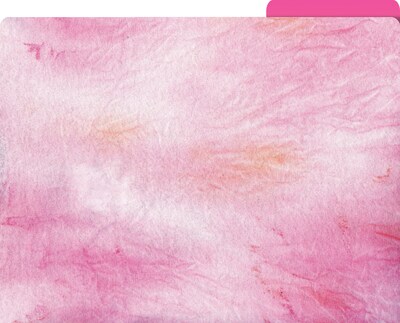 Barker Creek Tie-Dye & Ombré File Folder, 1/3-Cut Tab, Letter Size, Assorted Colors, 12/Pack (2014)