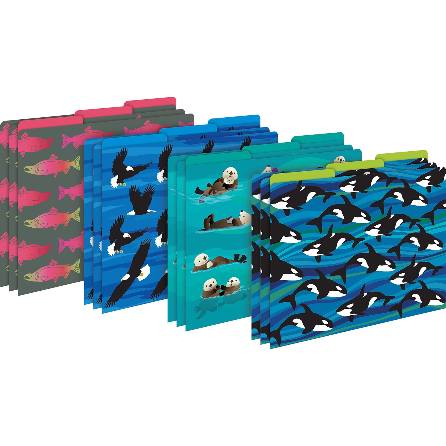 Barker Creek Sea & Sky File Folder, 1/3-Cut Tab, Letter Size, Assorted Colors, 12/Pack (2015)